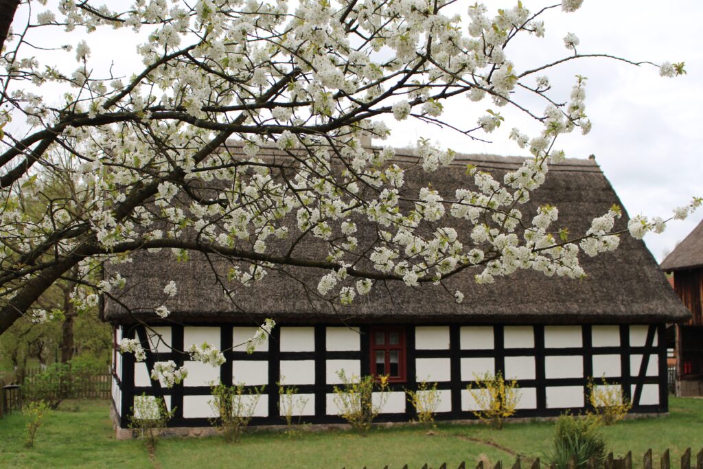 Alleluja! Ziemia zmartwychwstała raz jeszcze